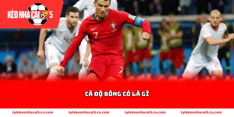 Nguồn gốc chính của tên gọi cá độ bóng cỏ là gì