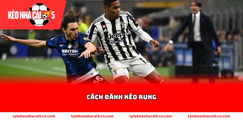 Những đặc điểm khác biệt riêng của kèo Dead Ball