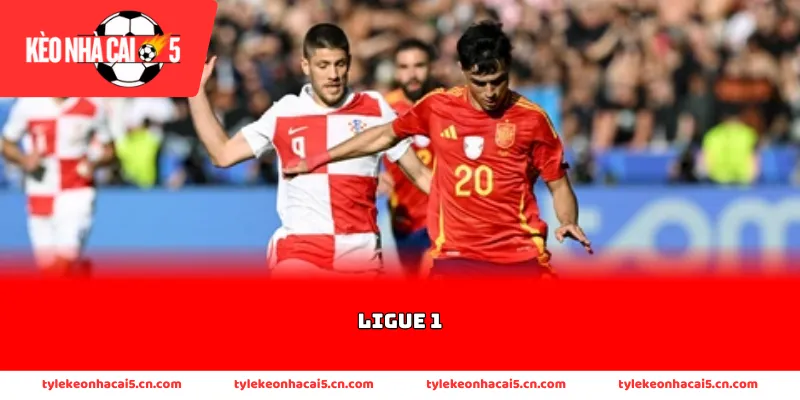 Thông tin về lịch sử và quy mô tổ chức bóng đá nước Pháp