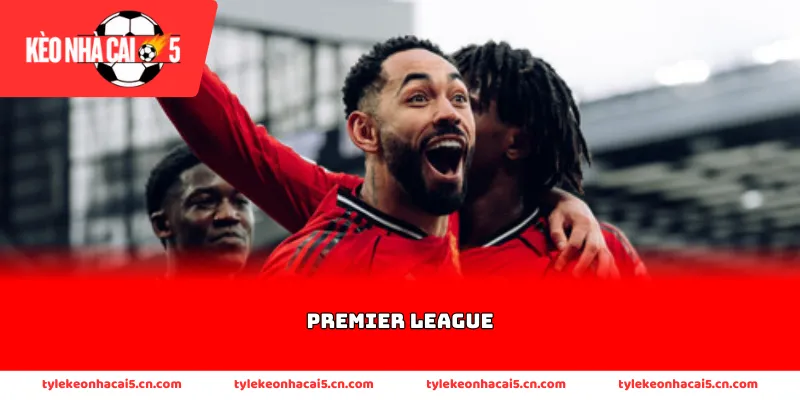 Thông tin về lịch sử hình hình của Premier League