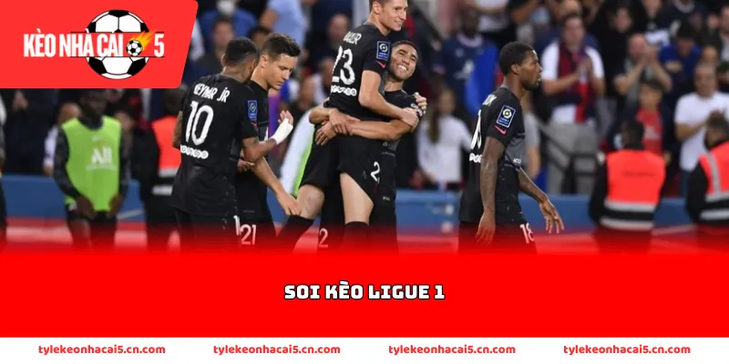 Các vấn đề chuyên môn cần nắm trong bóng đá Pháp