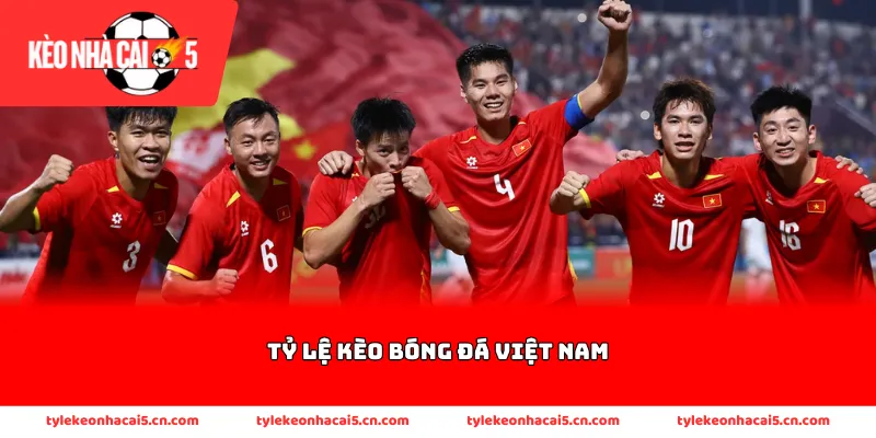 Cung cấp đa dạng các giải đấu trong nước